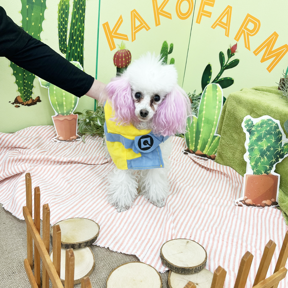 生徒とモデル犬の写真撮影会②